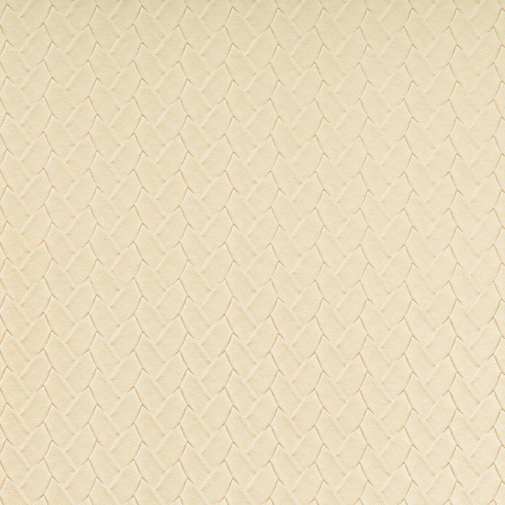Verlaine-116 by Kravet Design Fabric POLY VINYL CHLORIDE - 100% Taiwan HEAVY Horizontal: 0 and Vertical: 0 54 - Fabric Carolina -