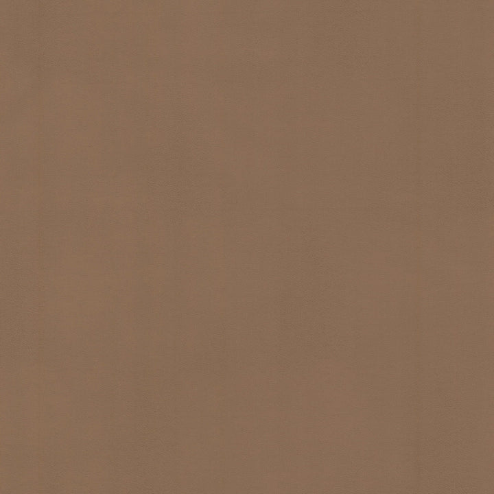Vermont 1 Tawny by Stout Fabric Stout Fabric Vermont 1 TawnyFabric LEATHER LOOKS V 100%POU 100%OTH CHINA </p><p>Repeat: H: 0.000, V: 0.000 54 in - Fabric Carolina -