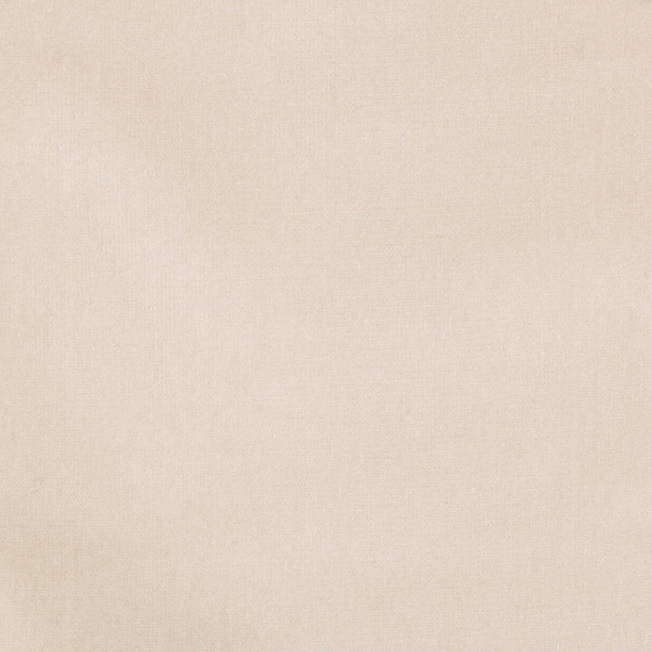 Versailles E20301 by Kravet Design Designer Fabric COTTON - 100% Netherlands HEAVY Horizontal: 0 and Vertical: 0 54 - Swanky Fabrics -