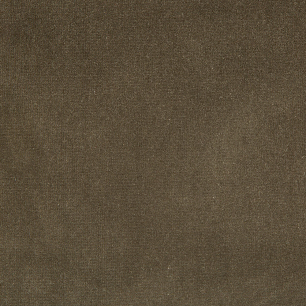 Versailles E20504 by Kravet Design Fabric - COTTON - 100% Netherlands HEAVY Horizontal: 0 and Vertical: 0 54 - Fabric Carolina -