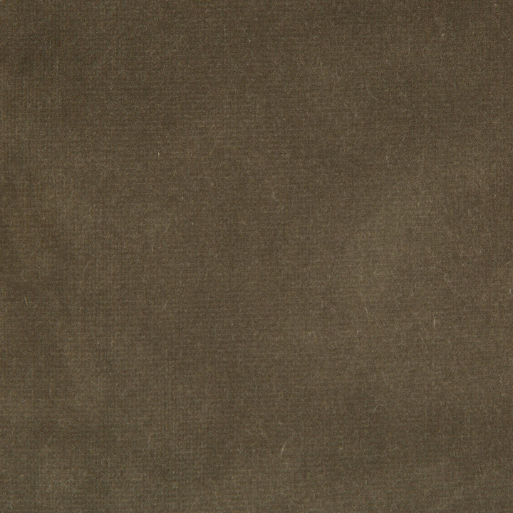 Versailles E20504 by Kravet Design Designer Fabric COTTON - 100% Netherlands HEAVY Horizontal: 0 and Vertical: 0 54 - Swanky Fabrics -