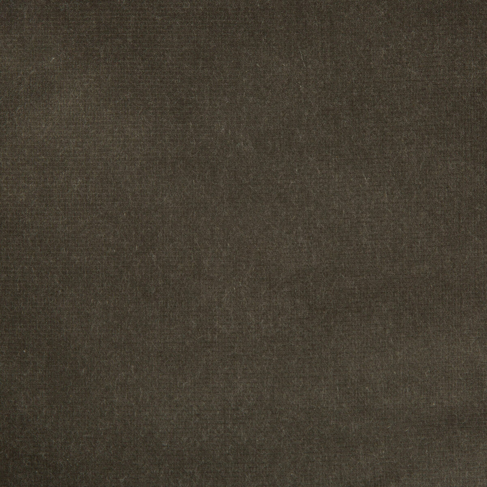 Versailles-E205060 by Kravet Design Fabric COTTON - 100% Netherlands HEAVY Horizontal: 0 and Vertical: 0 54 - Fabric Carolina -