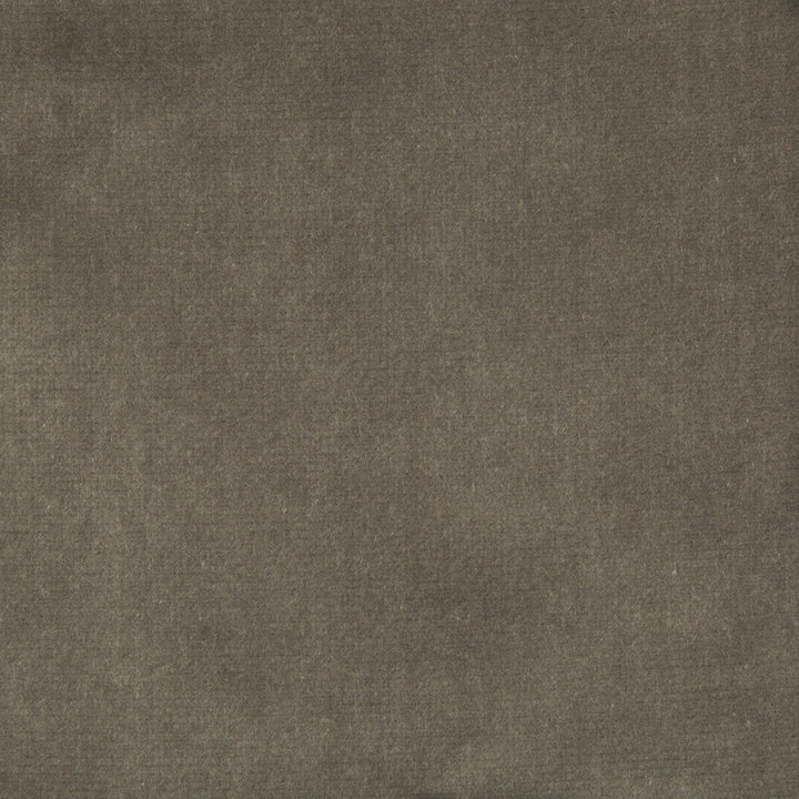 Versailles-E205180 by Kravet Design Fabric - COTTON - 100% Netherlands HEAVY Horizontal: 0 and Vertical: 0 54 - Fabric Carolina -
