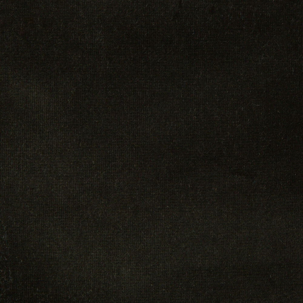 Kravet Design Versailles-E20700 by Kravet Design Fabric Kravet Design Fabric Kravet Design Versailles-E20700Fabric COTTON - 100% Netherlands </p><p>Repeat: H: 0, V: 0 54 - Fabric Carolina -