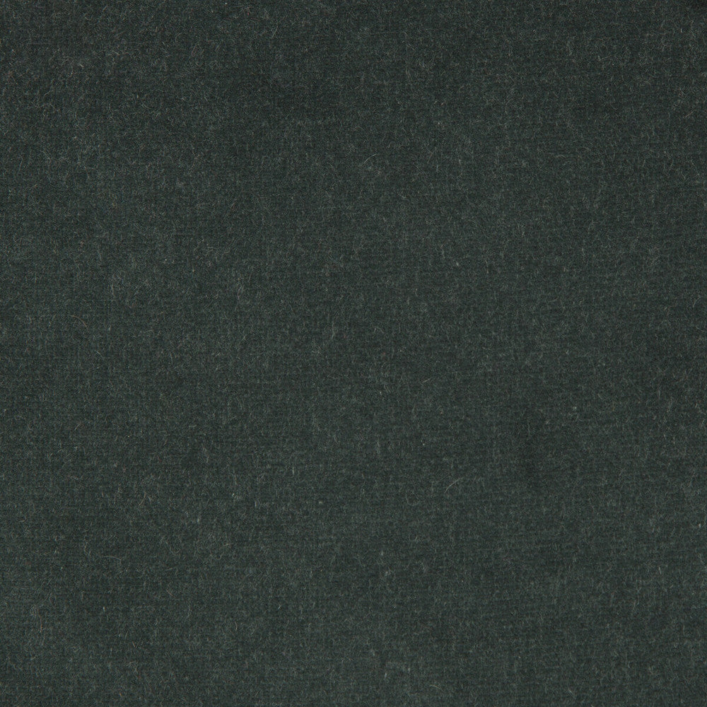 Versailles-E207130 by Kravet Design Fabric COTTON - 100% Netherlands HEAVY Horizontal: 0 and Vertical: 0 54 - Fabric Carolina -