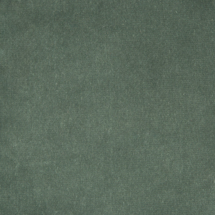 Versailles-E209020 by Kravet Design Fabric - COTTON - 100% Netherlands HEAVY Horizontal: 0 and Vertical: 0 54 - Fabric Carolina -
