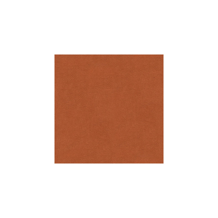 Versailles-E220090 by Kravet Design Fabric COTTON - 100% Netherlands HEAVY Horizontal: 0 and Vertical: 0 54 - Fabric Carolina -