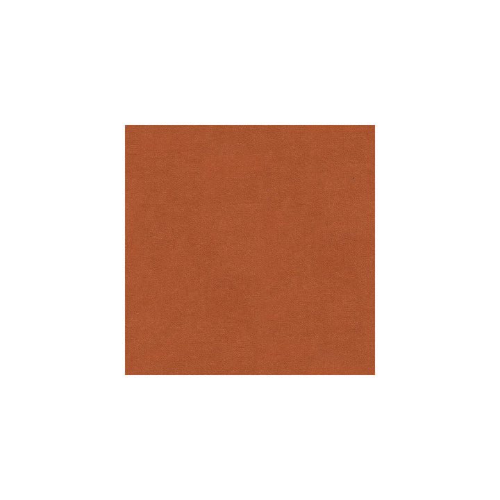 Versailles-E220090 by Kravet Design Designer Fabric - COTTON - 100% Netherlands HEAVY Horizontal: 0 and Vertical: 0 54 - Swanky Fabrics -