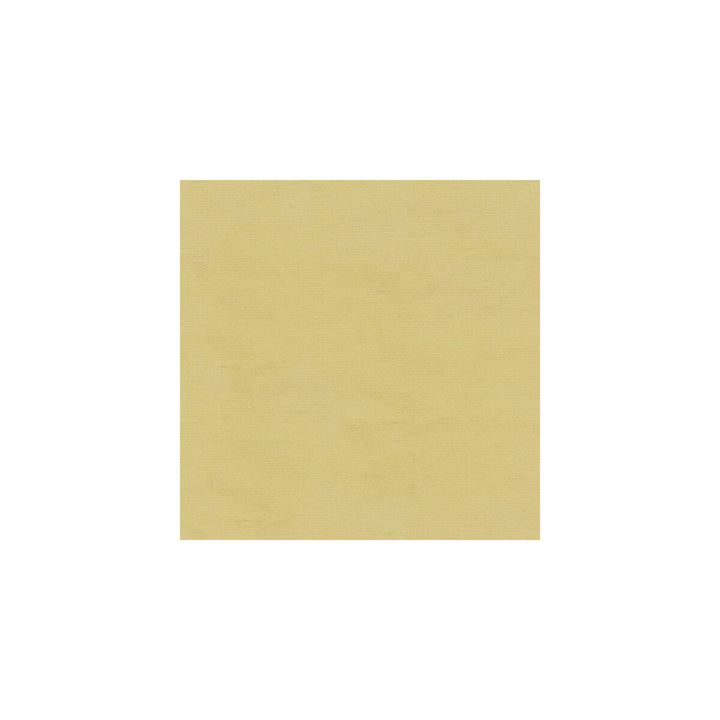 Versailles-E243020 by Kravet Design Fabric COTTON - 100% Netherlands HEAVY Horizontal: 0 and Vertical: 0 54 - Fabric Carolina -