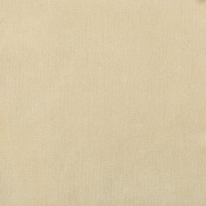 Kravet Design Versailles-E244250 by Kravet Design Fabric Kravet Design Fabric Kravet Design Versailles-E244250Fabric COTTON - 100% Netherlands </p><p>Repeat: H: 0, V: 0 54 - Fabric Carolina -