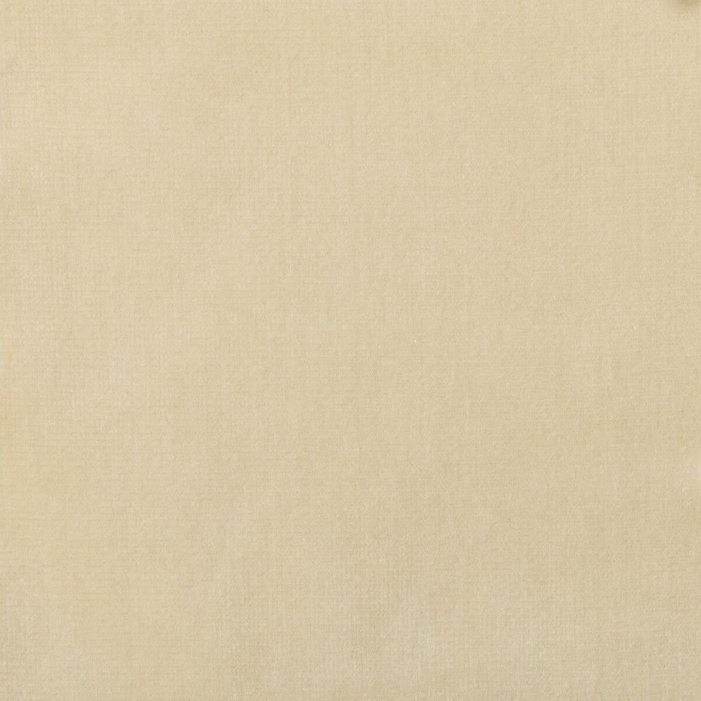 Versailles-E244250 by Kravet Design Fabric COTTON - 100% Netherlands HEAVY Horizontal: 0 and Vertical: 0 54 - Fabric Carolina -