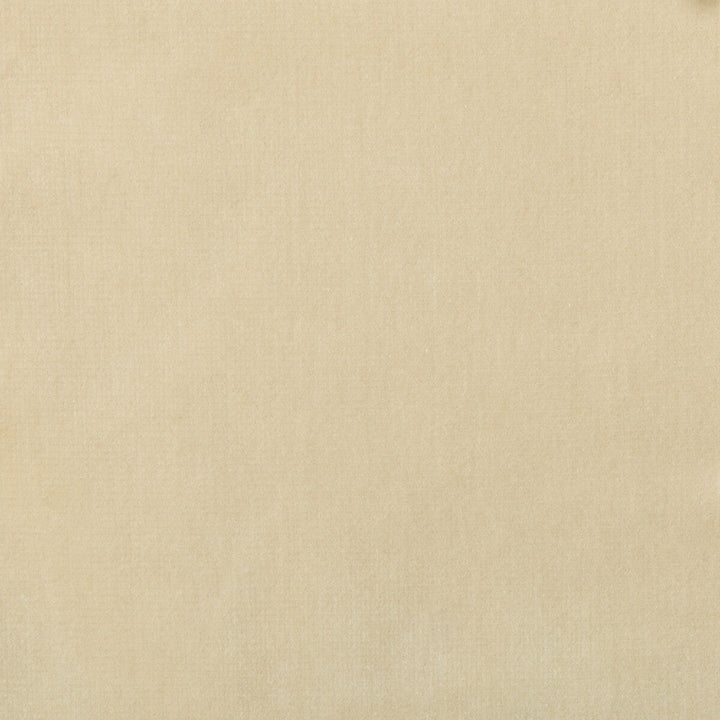 Versailles-E244250 by Kravet Design Designer Fabric - COTTON - 100% Netherlands HEAVY Horizontal: 0 and Vertical: 0 54 - Swanky Fabrics -