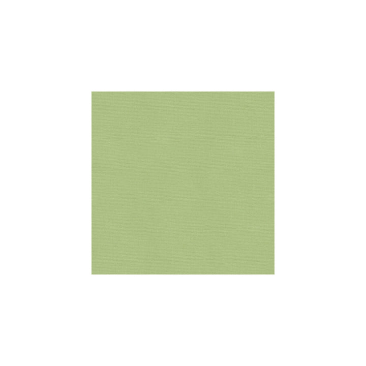 Versailles-E260790 by Kravet Design Fabric COTTON - 100% Netherlands HEAVY Horizontal: 0 and Vertical: 0 54 - Fabric Carolina -