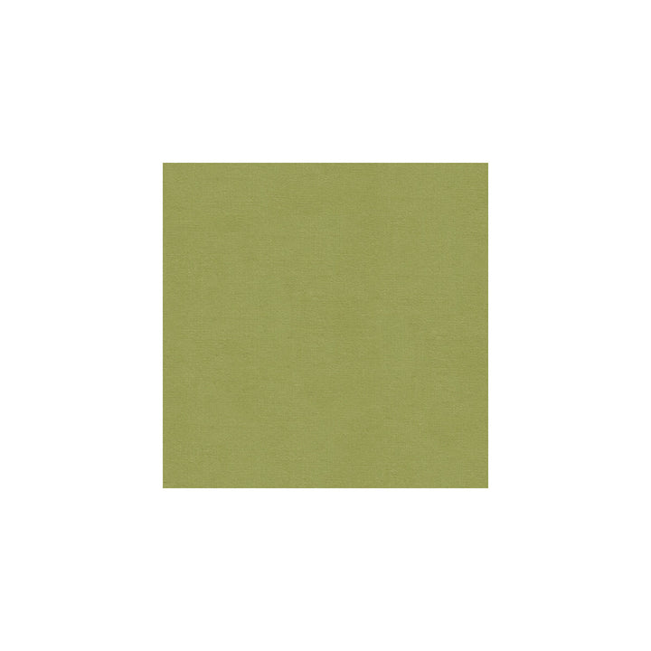 Versailles-E261200 by Kravet Design Fabric - COTTON - 100% Netherlands HEAVY Horizontal: 0 and Vertical: 0 54 - Fabric Carolina -