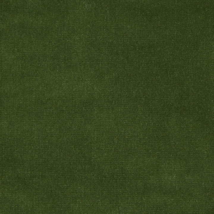 Versailles-E263200 by Kravet Design Fabric - COTTON - 100% Netherlands HEAVY Horizontal: 0 and Vertical: 0 54 - Fabric Carolina -