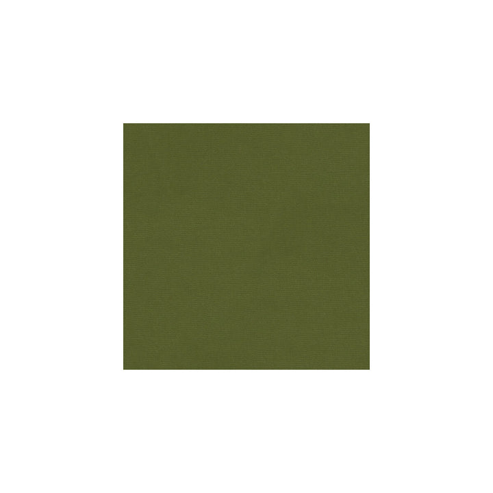 Versailles-E264040 by Kravet Design Fabric COTTON - 100% Netherlands HEAVY Horizontal: 0 and Vertical: 0 54 - Fabric Carolina -