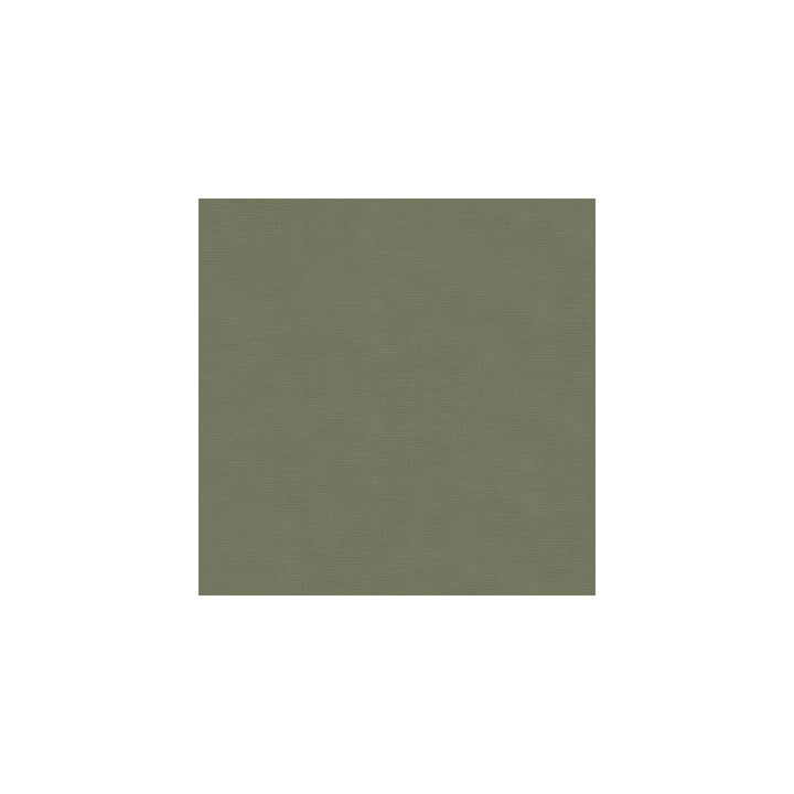 Versailles-E265120 by Kravet Design Fabric - COTTON - 100% Netherlands HEAVY Horizontal: 0 and Vertical: 0 54 - Fabric Carolina -