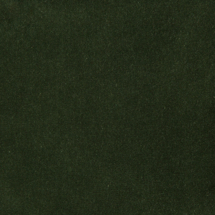 Versailles-E269200 by Kravet Design Fabric - COTTON - 100% Netherlands HEAVY Horizontal: 0 and Vertical: 0 54 - Fabric Carolina -