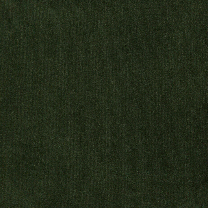 Versailles-E269200 by Kravet Design Designer Fabric - COTTON - 100% Netherlands HEAVY Horizontal: 0 and Vertical: 0 54 - Swanky Fabrics -