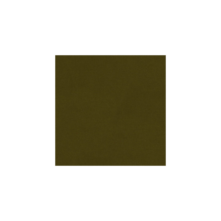 Versailles-E272000 by Kravet Design Fabric - COTTON - 100% Netherlands HEAVY Horizontal: 0 and Vertical: 0 54 - Fabric Carolina -