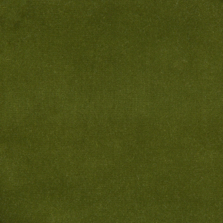 Versailles-E272240 by Kravet Design Designer Fabric - COTTON - 100% Netherlands HEAVY Horizontal: 0 and Vertical: 0 54 - Swanky Fabrics -