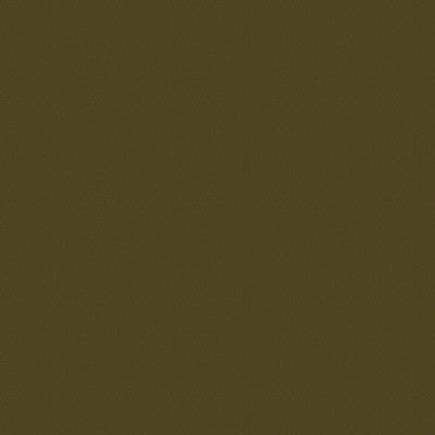 Kravet Design Versailles-E273120 by Kravet Design Fabric Kravet Design Fabric Kravet Design Versailles-E273120Fabric COTTON - 100% Netherlands </p><p>Repeat: H: 0, V: 0 54 - Fabric Carolina -