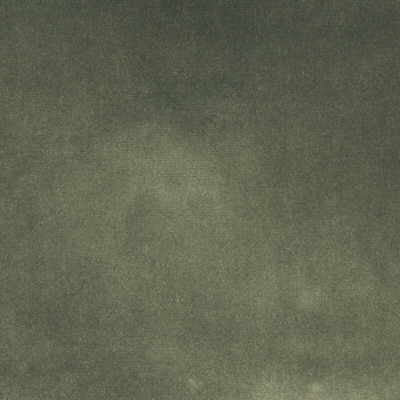 Versailles-E273250 by Kravet Design Fabric - COTTON - 100% Netherlands HEAVY Horizontal: 0 and Vertical: 0 54 - Fabric Carolina -