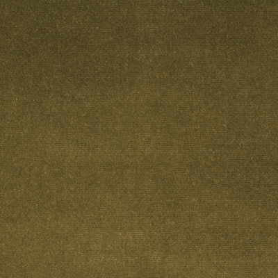 Kravet Design Versailles-E284450 by Kravet Design Fabric Kravet Design Fabric Kravet Design Versailles-E284450Fabric COTTON - 100% Netherlands </p><p>Repeat: H: 0, V: 0 54 - Fabric Carolina -