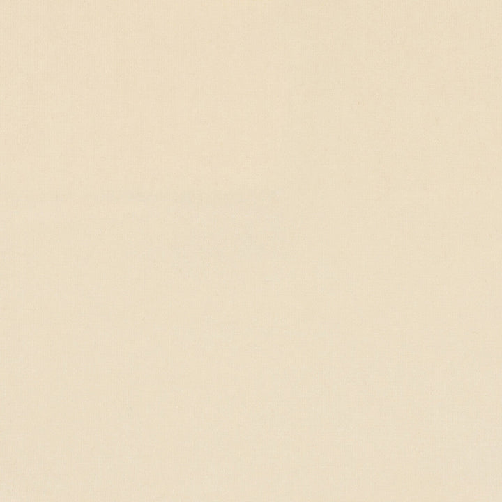 Versailles-E40240 by Kravet Design Designer Fabric - COTTON - 100% Netherlands HEAVY Horizontal: 0 and Vertical: 0 54 - Swanky Fabrics -