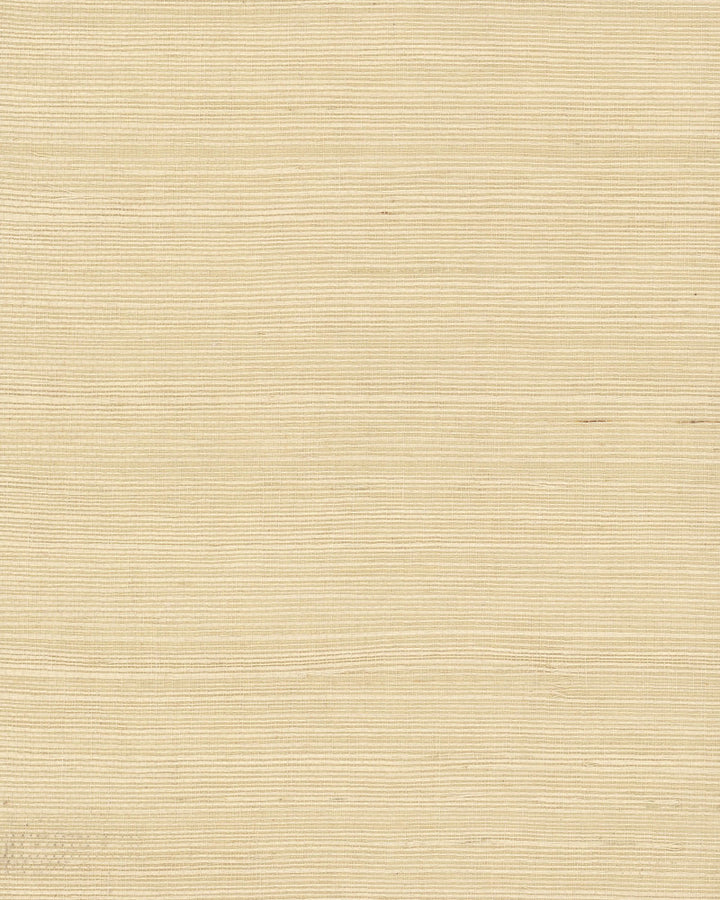 Plain Grass Beige Wallpaper by Magnolia Home Magnolia Home Covers about 72 square feet 36-in by 24-ft long roll Unpasted 0 - Fabric Carolina -