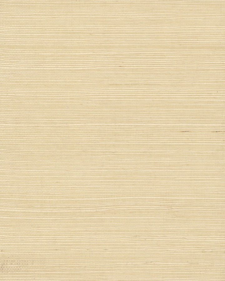 Plain Grass Beige Wallpaper by York Wallcoverings Grasscloth II Covers about 72 square feet 36-in by 24-ft long roll Unpasted 0 - Fabric Carolina -
