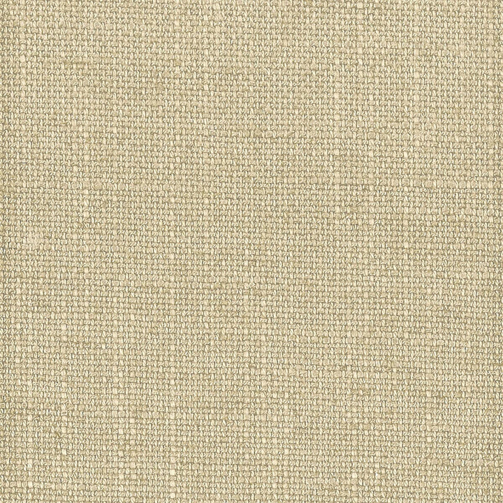 Vigilant 4 Taupe by Crypton Fabric Crypton Fabric Vigilant 4 TaupeFabric SOLID FOUNDATIONS CHINA </p><p>Repeat: H: 0.000, V: 0.000 54.38 in - Fabric Carolina -