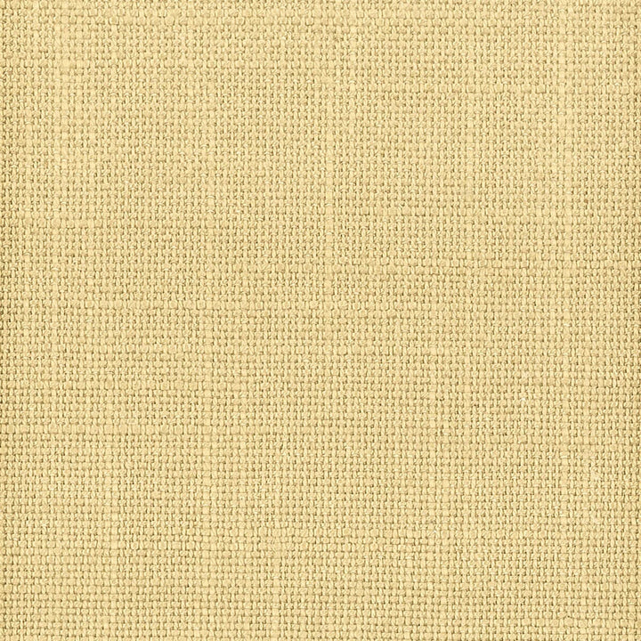 Vigilant 9 Biscuit by Crypton Fabric Crypton Fabric Vigilant 9 BiscuitFabric SOLID FOUNDATIONS CHINA </p><p>Repeat: H: 0.000, V: 0.000 54.38 in - Fabric Carolina -
