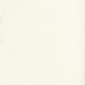 Viking White by Norbar Fabric ATRIUM 100% SOLUTION DYED ACRYLIC CHINA 12,000 WYZENBEEK 54 - Fabric Carolina -
