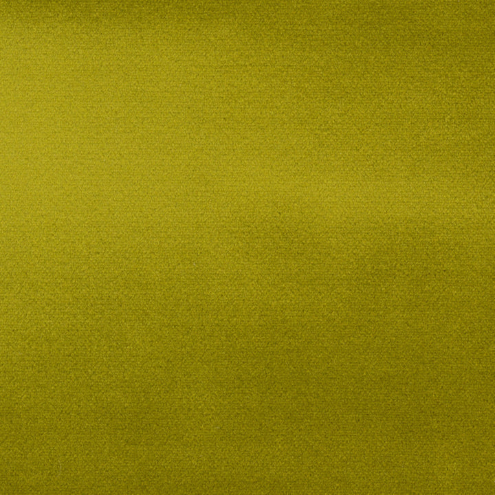Villa Pear 8 by Norbar Fabric VENICE 100% POLYESTER SPAIN 54" - Fabric Carolina -