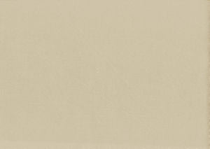 Viscaya Butter by Norbar Fabric BLISS 100% INHERENTLY FLAME INDIA 54 - Fabric Carolina -