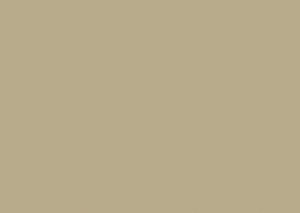 Viscaya Cashmere by Norbar Fabric