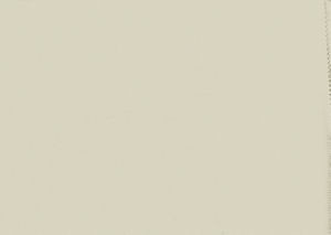 Viscaya Grey by Norbar Fabric BLISS 100% INHERENTLY FLAME INDIA 54 - Fabric Carolina -