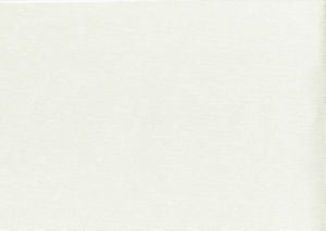 Viscaya Ivory by Norbar Designer Fabric BLISS 100% INHERENTLY FLAME INDIA 54 - Swanky Fabrics -