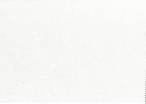 Viscaya Snow by Norbar Fabric