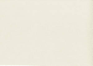 Viscaya Straw by Norbar Fabric