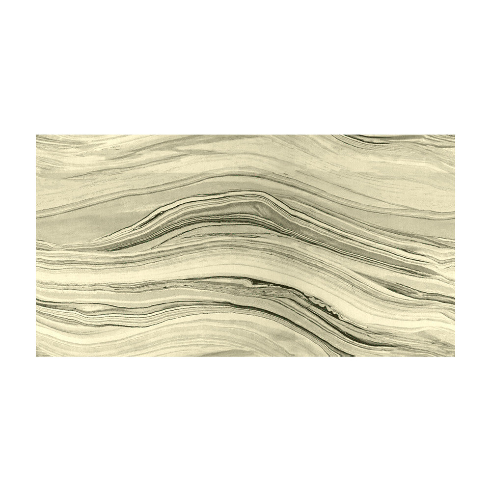 Visionary Platinum by Kravet Couture Fabric MODERN LUXE COTTON - 100% India HEAVY Horizontal: 27.5 and Vertical: 14.5 56 - Fabric Carolina -