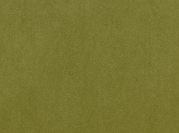 Vitani 25 Olive by Covington Fabric 100% POLYESTER China 100000 Horizontal: 0 and Vertical: 0 60 - Fabric Carolina -