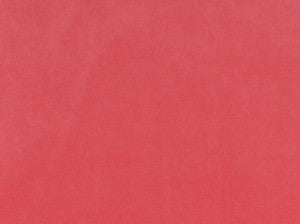 Vitani 350 Watermelon by Covington Fabric