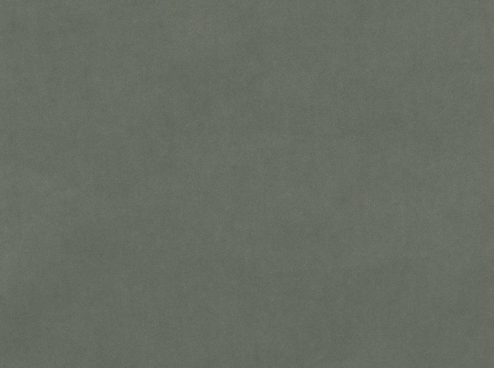 Vitani 948 Charcoal by Covington Designer Fabric Covington Right 24.5 36.75 0 0 by product