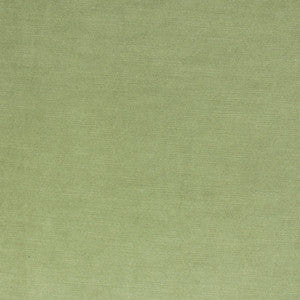 Vivoli Leaf by Richloom Fabric