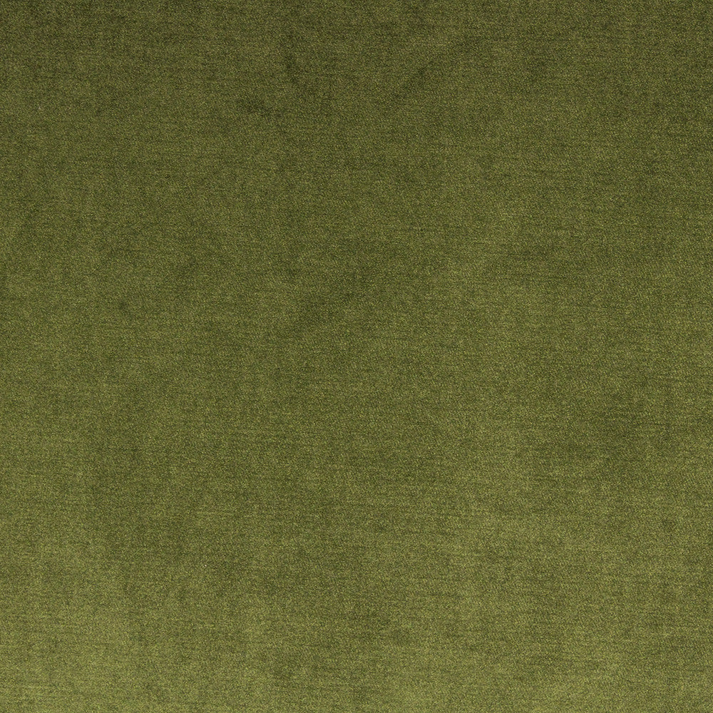 Vivoli Moss by Richloom Fabric See sample 100% POLYESTER USA or Imported </p><p>Repeat: 56" - Fabric Carolina -