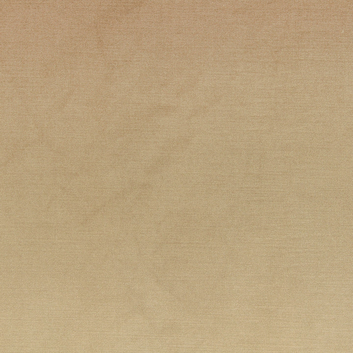 Vivoli Sand by Richloom Fabric See sample 100% POLYESTER USA or Imported </p><p>Repeat: 56" - Fabric Carolina -