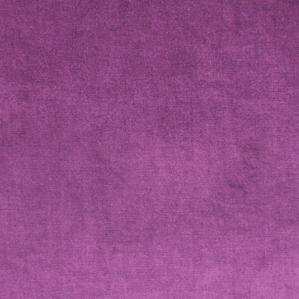 Vivoli Violet by Richloom Fabric See sample 100% POLYESTER USA or Imported </p><p>Repeat: 56" - Fabric Carolina -