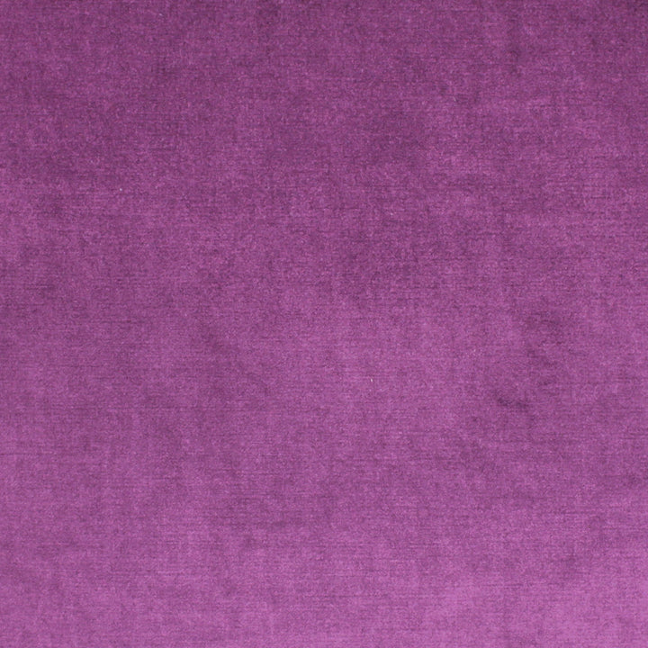 Vivoli Violet by Richloom Fabric See sample 100% POLYESTER USA or Imported </p><p>Repeat: 56" - Fabric Carolina -